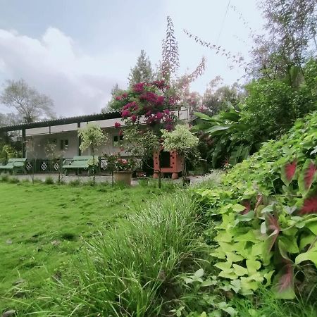 Silvershine Homestay Chikmagalūr エクステリア 写真