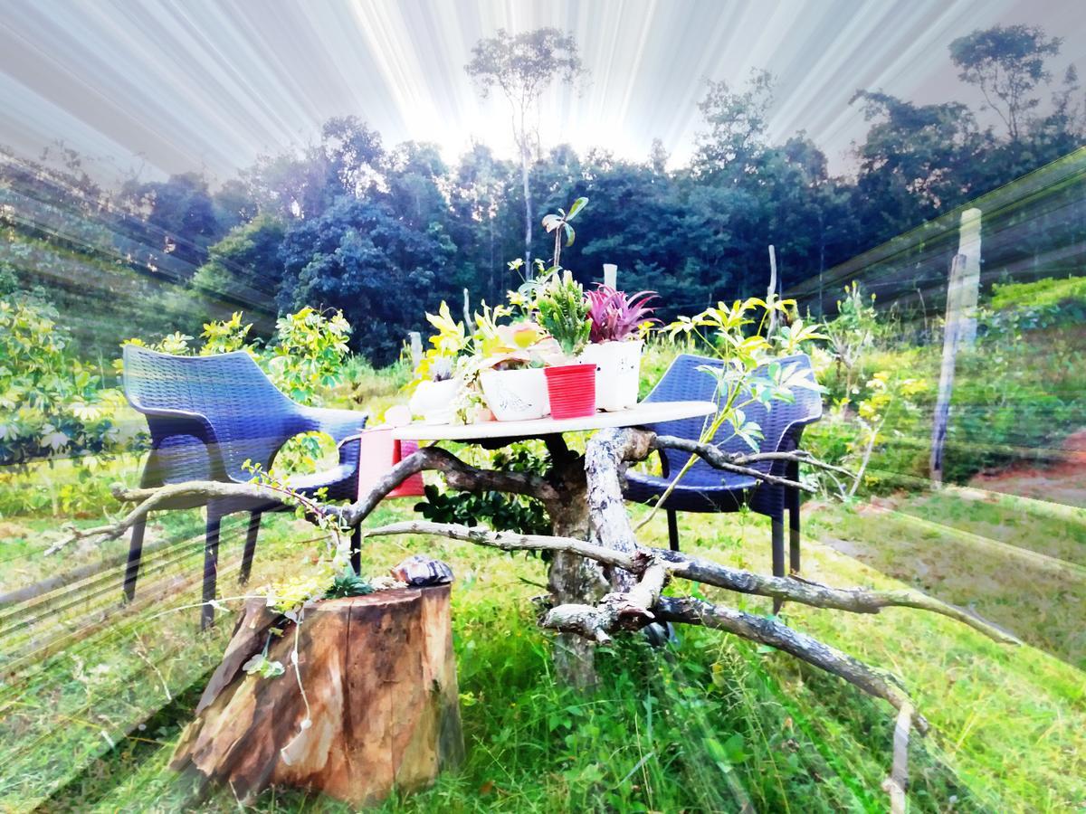 Silvershine Homestay Chikmagalūr エクステリア 写真