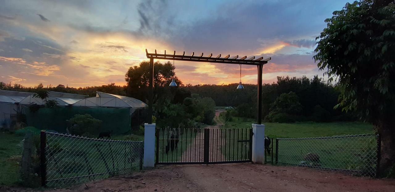 Silvershine Homestay Chikmagalūr エクステリア 写真