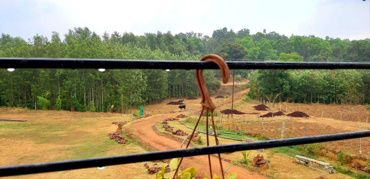 Silvershine Homestay Chikmagalūr エクステリア 写真